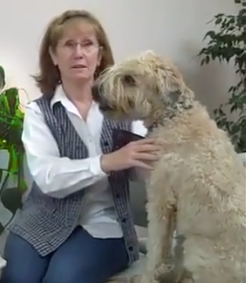 Vétérinaire Nyon, Veterinaire Nyon, Nyon Veterinaire, Nyon Vétérinaire, cabinet vétérinaire Nyon, cabinet veterinaire Nyon, clinique vétérinaire Nyon, vétérinaire de Garde Nyon,veterinaire de Garde Nyon, Cabinet Vétérinaire International