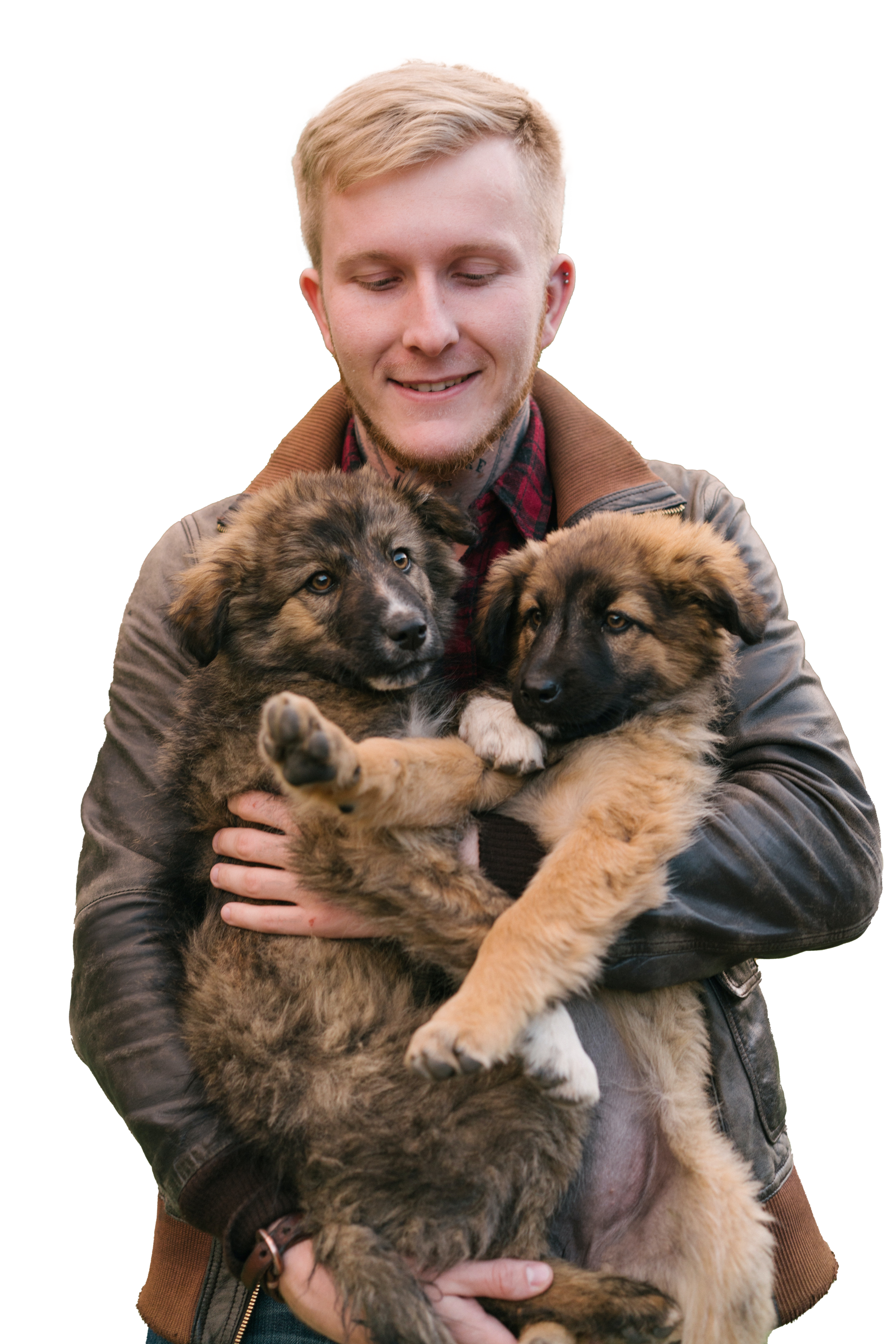 Vétérinaire Nyon, Veterinaire Nyon, Nyon Veterinaire, Nyon Vétérinaire, cabinet vétérinaire Nyon, cabinet veterinaire Nyon, clinique vétérinaire Nyon, vétérinaire de Garde Nyon,veterinaire de Garde Nyon, Cabinet Vétérinaire International