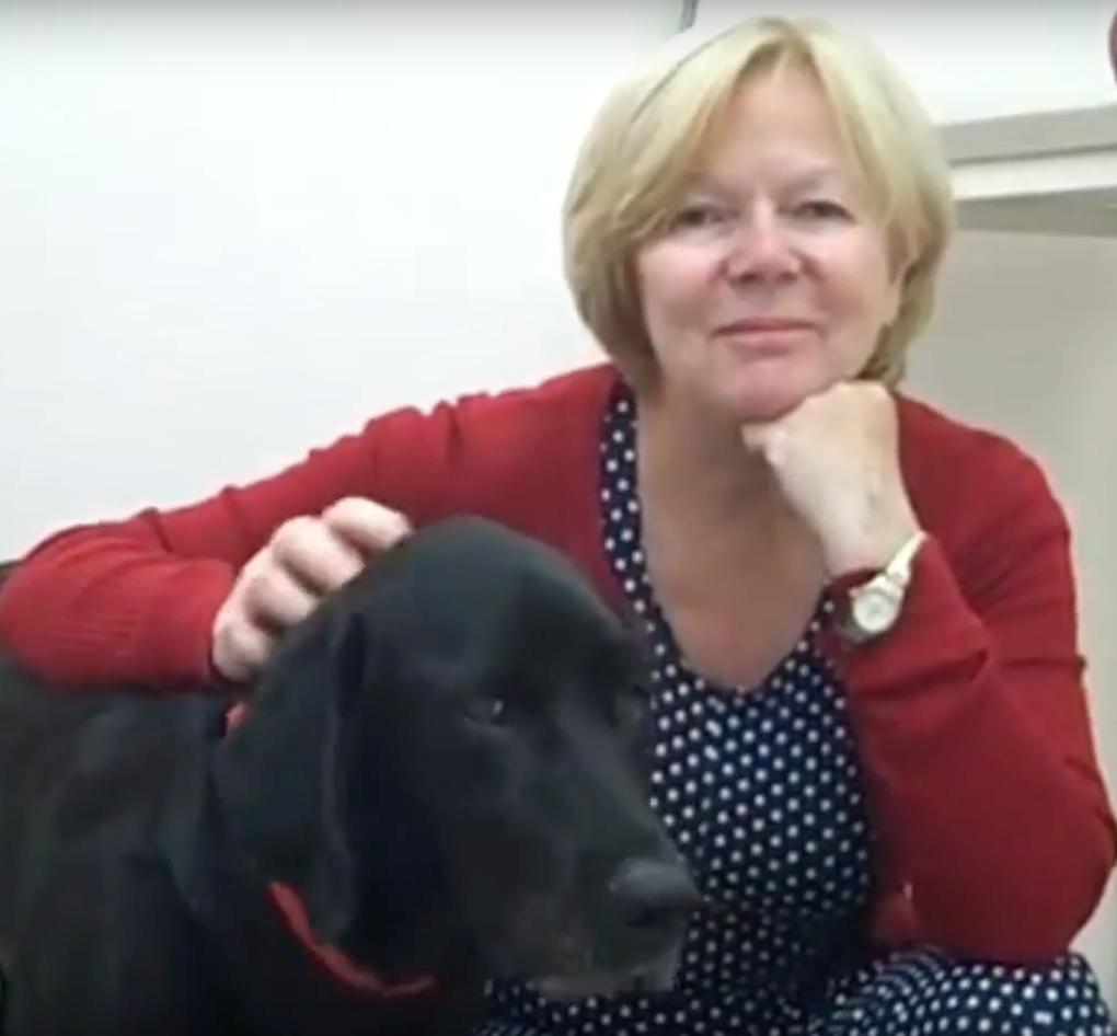 Labrador, Vétérinaire Nyon, Veterinaire Nyon, Nyon Veterinaire, Nyon Vétérinaire, cabinet vétérinaire Nyon, cabinet veterinaire Nyon, clinique vétérinaire Nyon, vétérinaire de Garde Nyon,veterinaire de Garde Nyon, Cabinet Vétérinaire International