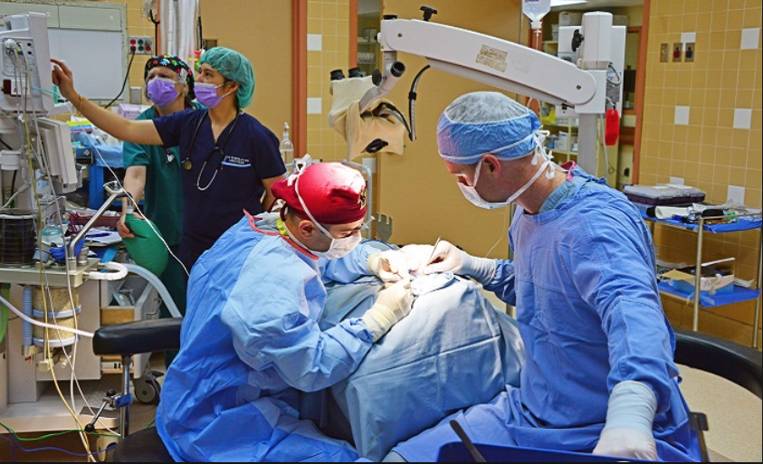 Vétérinaire Nyon, Veterinaire Nyon, Nyon Veterinaire, Nyon Vétérinaire, cabinet vétérinaire Nyon, cabinet veterinaire Nyon, clinique vétérinaire Nyon, vétérinaire de Garde Nyon,veterinaire de Garde Nyon, Cabinet Vétérinaire International