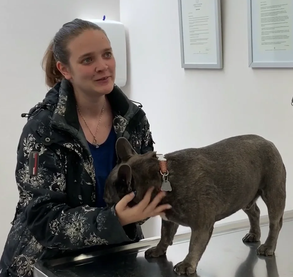 Vétérinaire Nyon, Veterinaire Nyon, Nyon Veterinaire, Nyon Vétérinaire, cabinet vétérinaire Nyon, cabinet veterinaire Nyon, clinique vétérinaire Nyon, vétérinaire de Garde Nyon,veterinaire de Garde Nyon, Cabinet Vétérinaire International