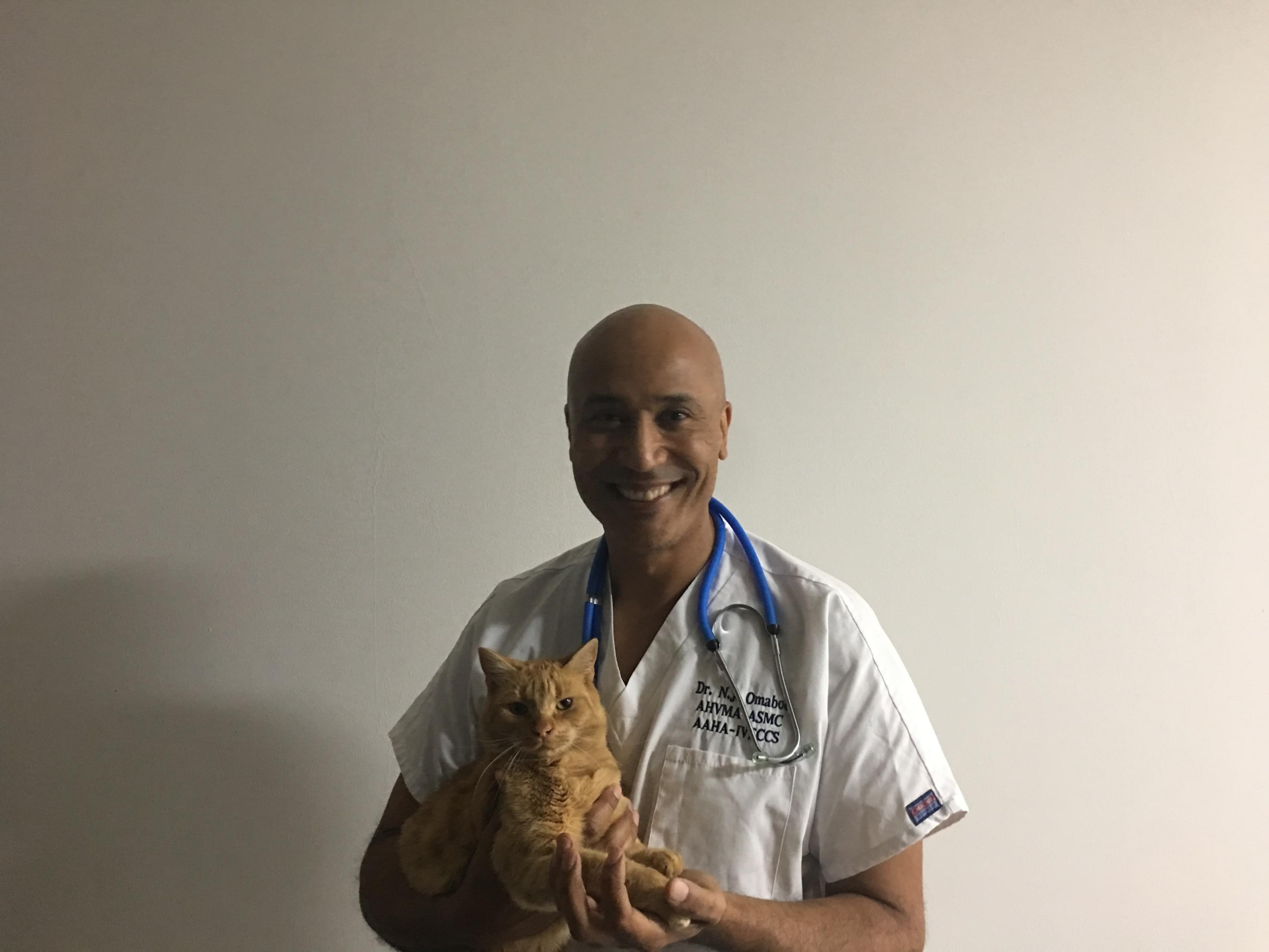 Vétérinaire Nyon, Veterinaire Nyon, Nyon Veterinaire, Nyon Vétérinaire, cabinet vétérinaire Nyon, cabinet veterinaire Nyon, clinique vétérinaire Nyon, vétérinaire de Garde Nyon,veterinaire de Garde Nyon, Cabinet Vétérinaire International